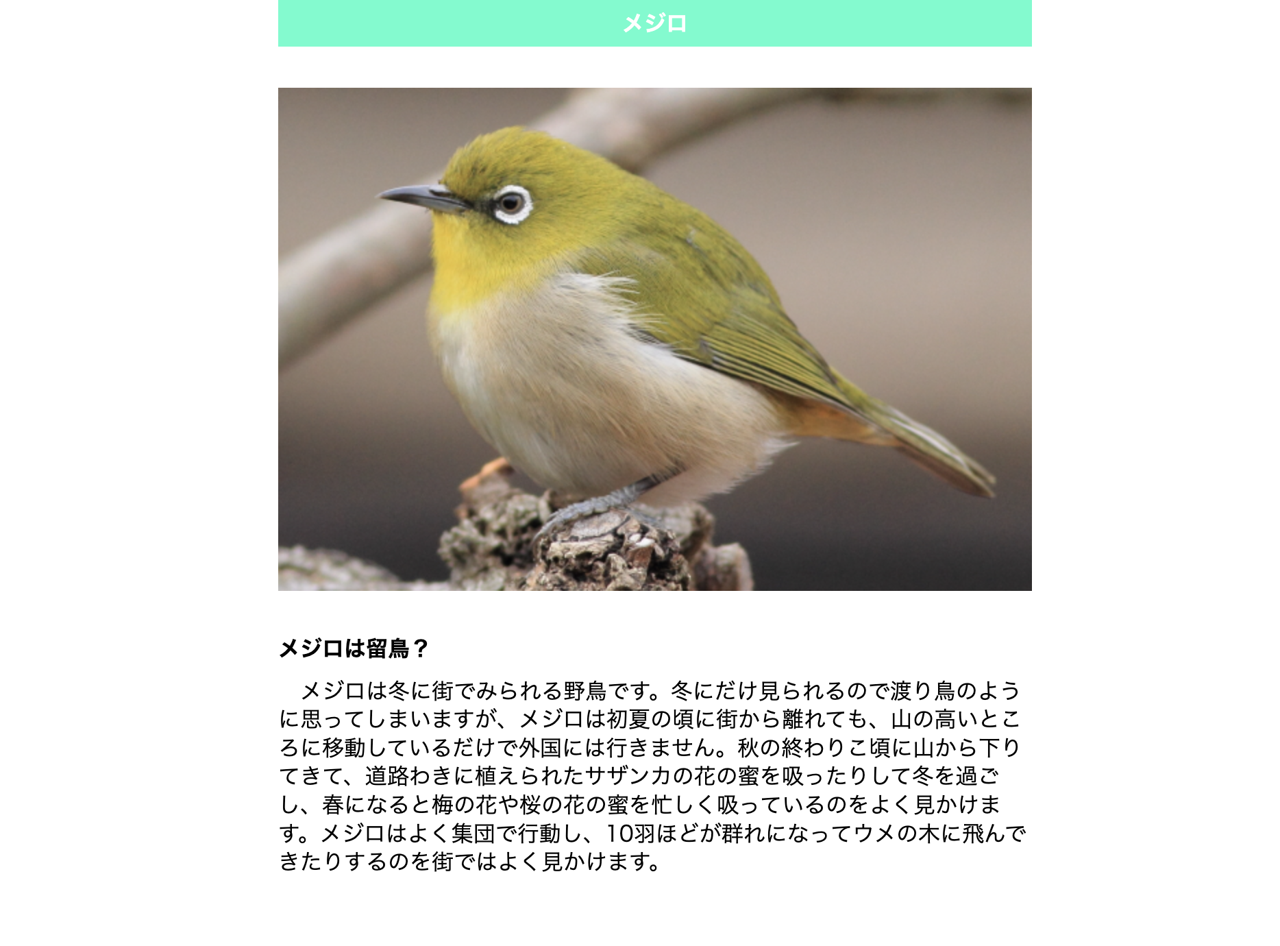 制作内容のイメージ画像