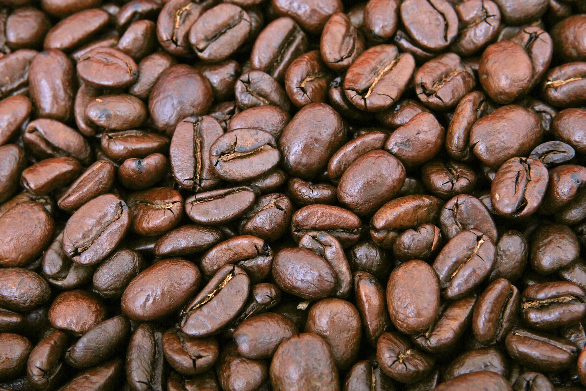 コーヒー豆